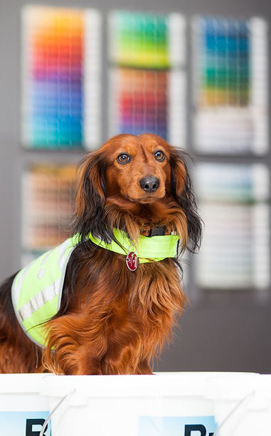 Translation missing: de.image_gallery.image_alt